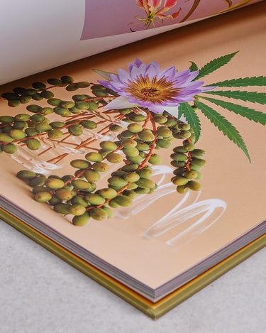 A weed is a flower